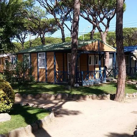 Camping Bella Terra Campsite