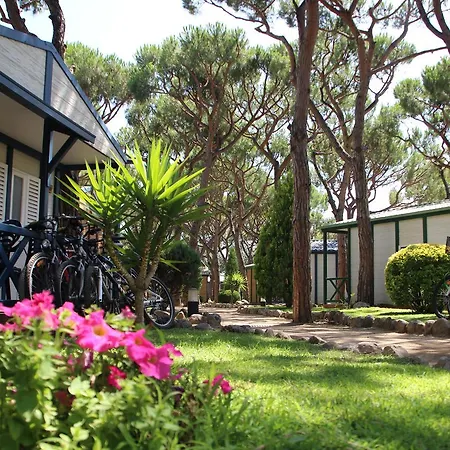 Camping Bella Terra Campsite Blanes